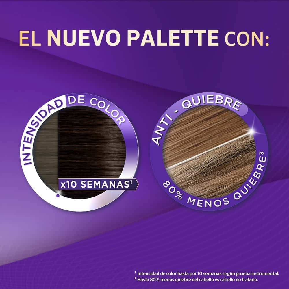 Tinte Palette Color Cream 1-0 Negro