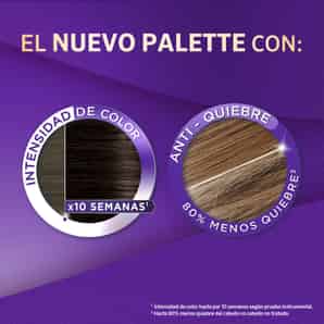 Tinte Palette Color Cream 1-0 Negro