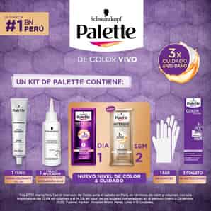 Tinte Palette Color Cream 1-0 Negro